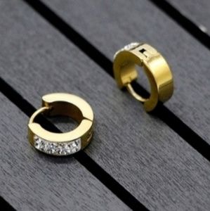 Stainless Steel Rhinestone Earrings